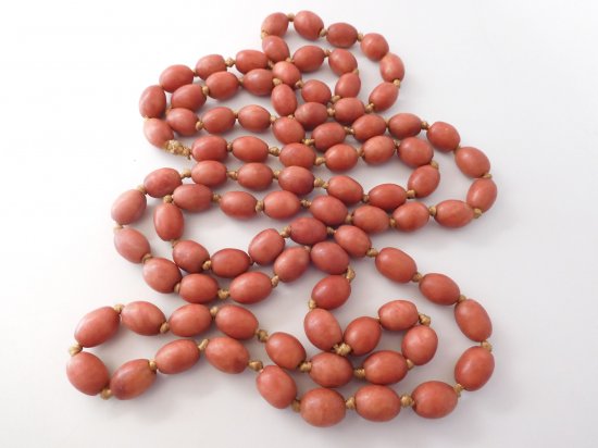 coral beads005 1st pick .jpg