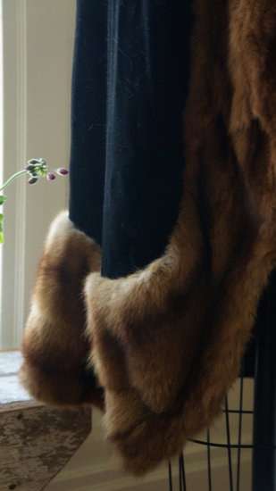 fur low res.jpg